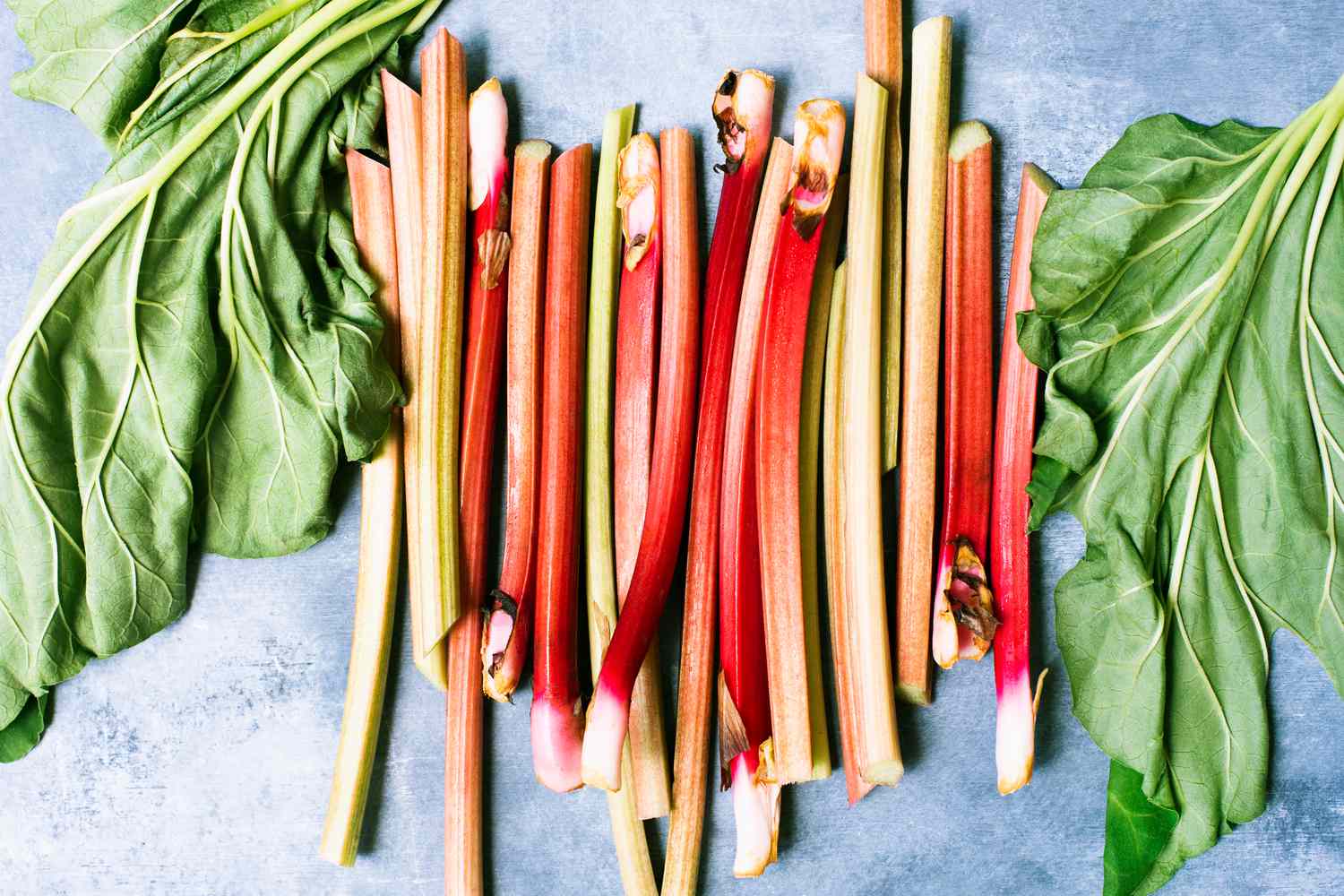 Don't Waste Your Rhubarb! Simple Freezing Guide for Bumper Crops